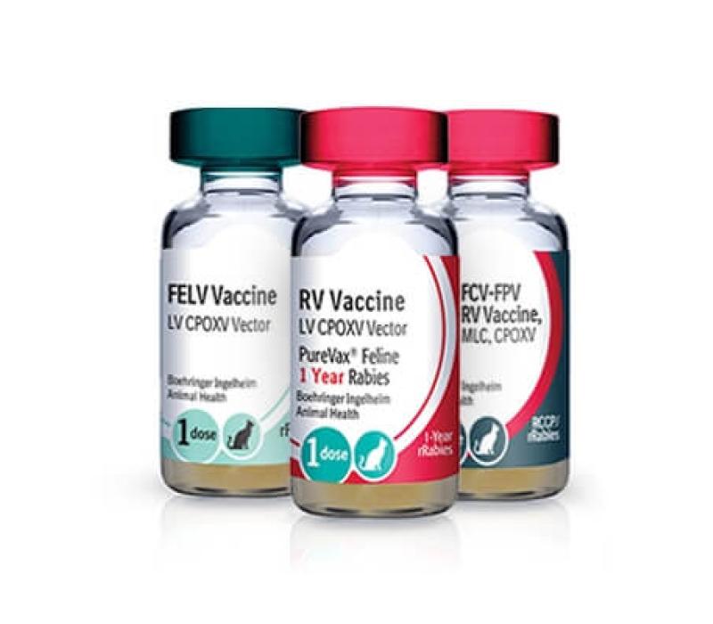 Feline 4 store in 1 vaccine